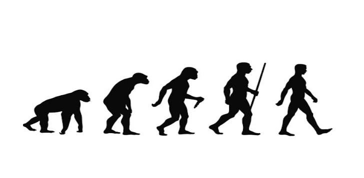 Evolution