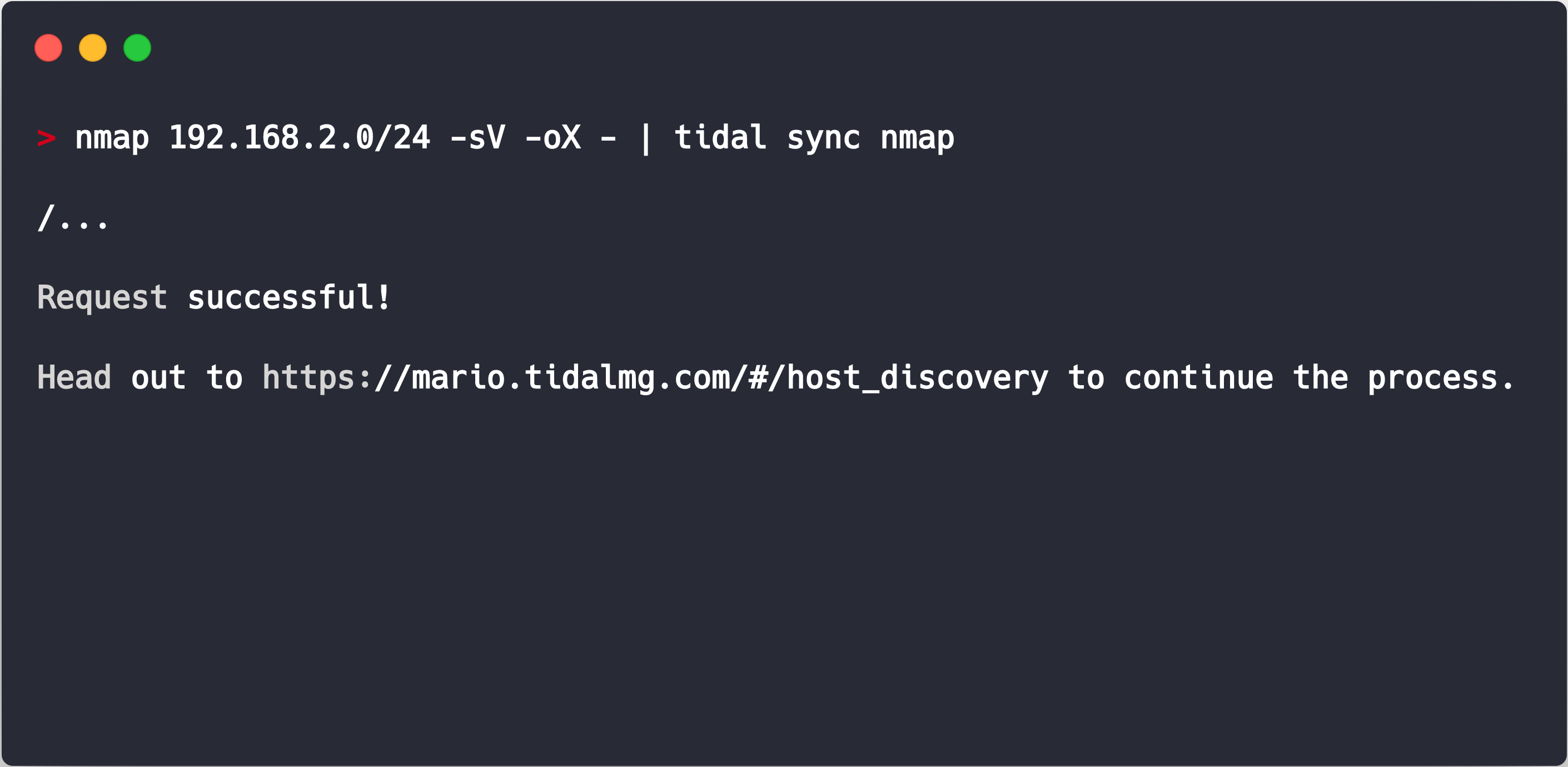 nmap tidal cli example